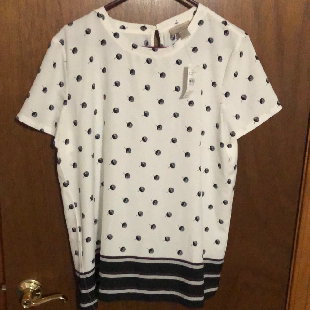 Loft short sleeve blouse large